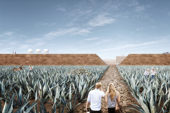 Tequila José Cuervo is the icon of the renown mexican drink, for two centuries it's been the most important Tequila brand in México. Recently a contest was anounced to create the iconic new museum for their brand in Tequila, Guadalajara Mexico.