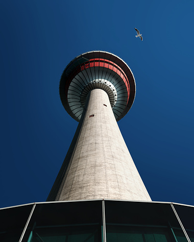 The Calgary Tower