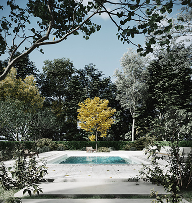 Pool in the Woods