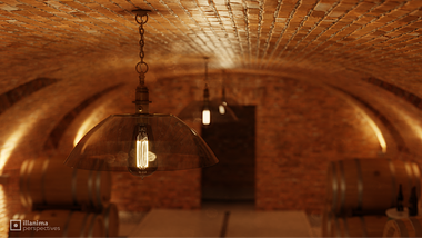 illanima perspectives_Vaulted Wine Cellar project