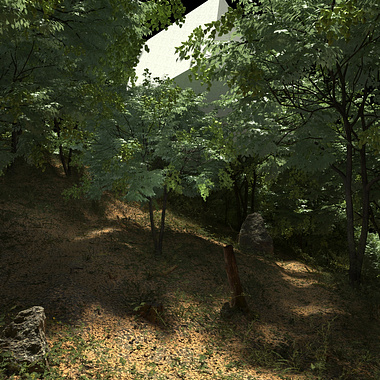 Forest01