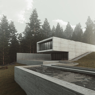 Brutalist House in the Forest