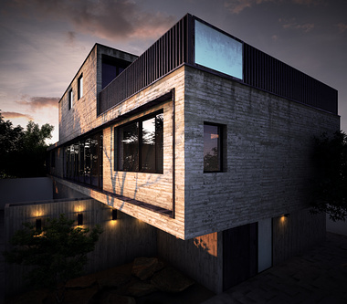Student work, house, 3DSMax and PS.
