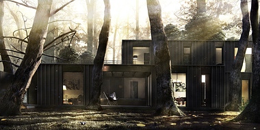 House in the woods