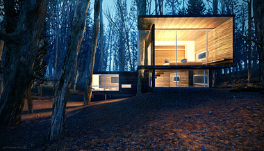 ForestHouse_Night