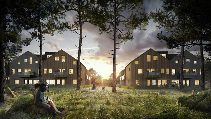 Project for this apartments blocks in the woods Sweden
