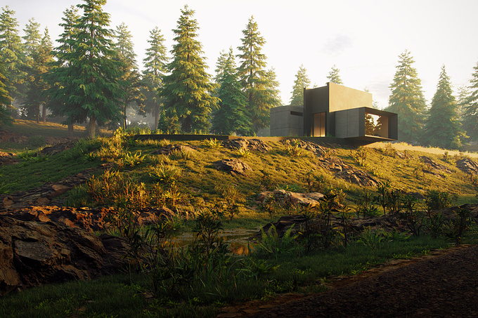 https://www.behance.net/tharik
Vacation House placed in the pine tree forest environment. Used softwares: 
3DS Max ,Coronarender,Megascans,QuixelMixer ,Photoshop.
