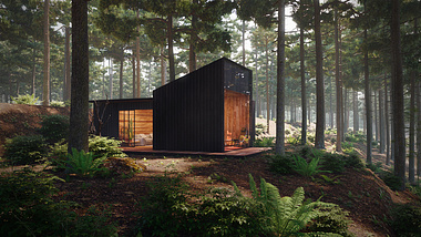 Pine tree Forest House