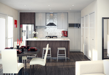 Residential Interior - Vancouver Town House