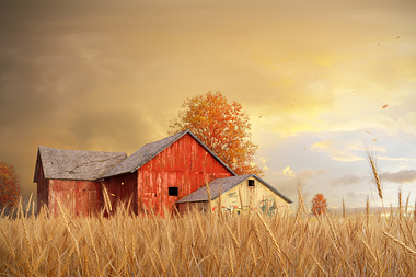 Autumn barn house