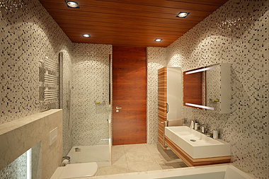 The bathroom interior