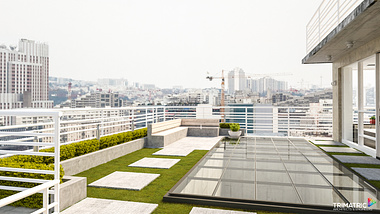 Rooftop Landscaping