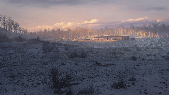 studio dugenio - http://www.mikedugenio.dk
A frosty barren and dry winter landscape sometimes create the rarest moments