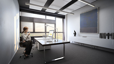 TZA-office interior