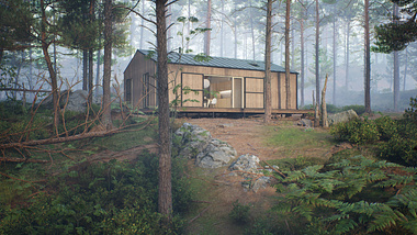 Pine forest tiny house