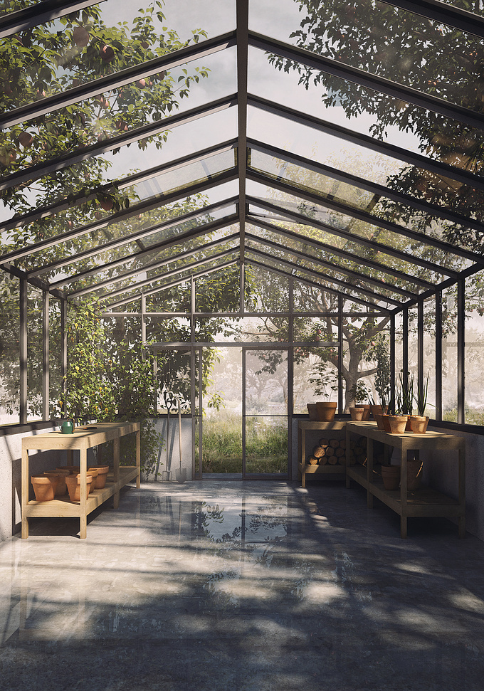 A personal project exploring the light and beauty of a greenhouse.