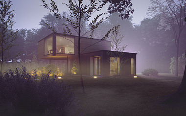 Stacked House in the fog