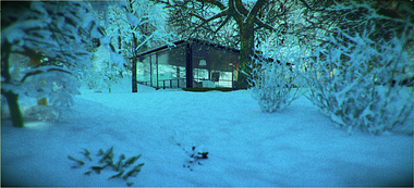 The Glass house in the snow