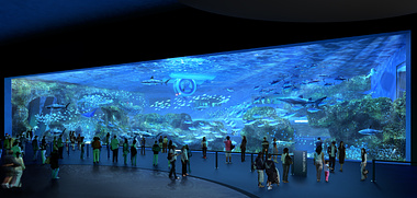 Aquarium Shark Exhibit