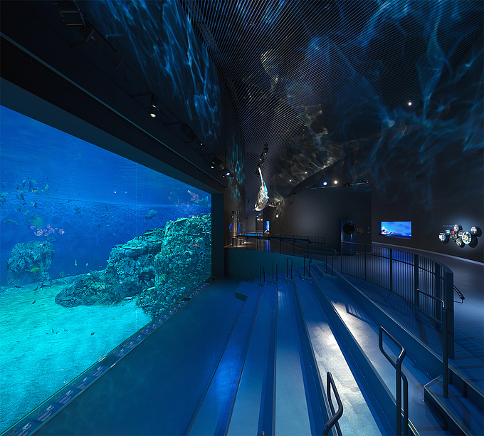 This is my recent personal project where I have studied the Danish architecture Blå Planet / Blue Planet by 3XN located in Copenhagen, Denmark. 
It is the largest aquarium in Europe.