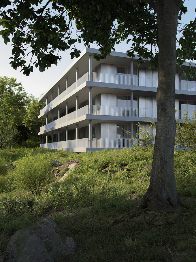 This is our latest personal project. It is inspired by Dyvik Kahlen Architects’ project, Klingelbeek Building One.
