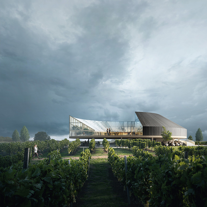 Conception plan and visualization for Bord Architectural Studio's Tokaj wine region visitor center