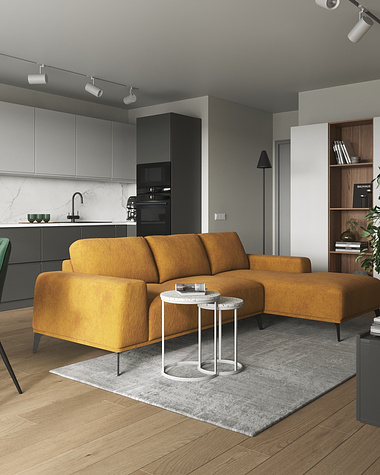 Apartment in Tallinn (kitchen and living room combo)