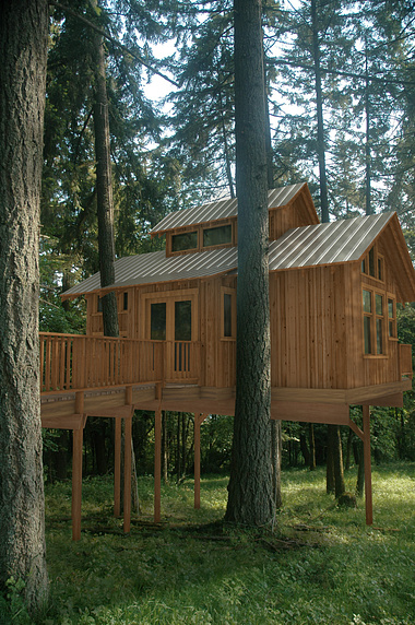 treehouses & cabins