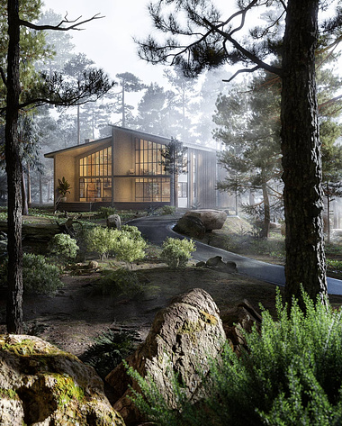 THE FOREST HOUSE...