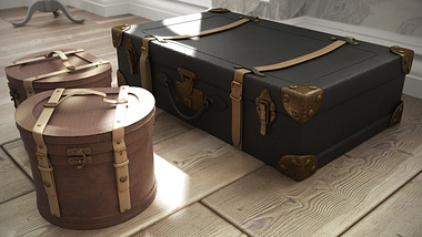 bedroom view : hatboxes and suitcase